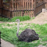 Photo taken at Yerevan Zoo by Yuri G. on 4/22/2023