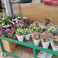 Cerkezkoy Park Avm Big Box Store