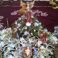 Aquantarium Niculi Ins 1 Visiteur