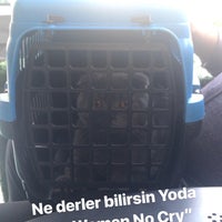 Снимок сделан в Cat Hospital Kedi Hastanesi пользователем Nazlı G. 9/5/2018