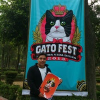 Photo taken at Gato Fest 2013 by Yessy R. on 2/17/2013