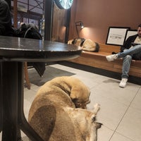 Photo taken at Starbucks by Gülşah G. on 1/7/2024