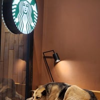 Photo taken at Starbucks by Gülşah G. on 1/7/2024