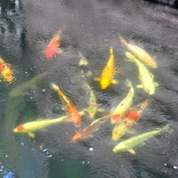 Das Foto wurde bei Little Boat in my Fish Pond von marnita p. am 9/28/2012 aufgenommen