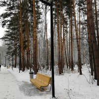 Photo taken at Северо-Западный парк by Borsugg on 12/2/2018