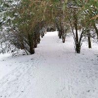 Photo taken at Курортный парк by Borsugg on 2/18/2021