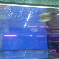 Azam Aquarium Kulim Kedah