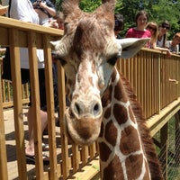 Foto tomada en Elmwood Park Zoo  por Erin L. el 6/5/2013