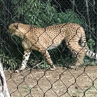 Photo taken at Cheetah Conservation Station by CJ W. on 10/28/2018