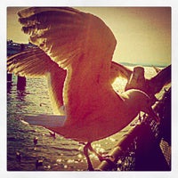 Photo taken at Ivar&amp;#39;s Seagull by Michelle B. on 9/29/2012