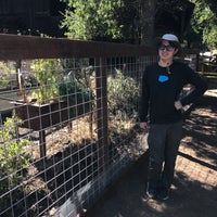 Deer Hollow Farm 5 Tips From 687 Visitors