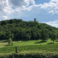 Foto scattata a Kozlović Winery da Angie 🐾 il 6/16/2018