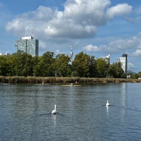 Photo taken at Alte Donau by Victoria T. on 10/1/2023