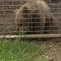 7/4/2013에 Lisa S.님이 Plumpton Park Zoo에서 찍은 사진