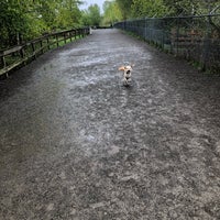 Photo taken at Magnuson Park Off-Leash Dog Park by Elizabeth R. on 4/20/2019