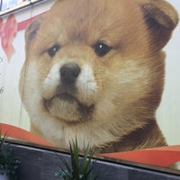 ペットのコジマ 六本木店 六本木 3 Tips ペットのコジマ 六本木店 六本木 3 Tips