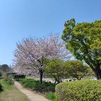 Photo taken at Showa Kinen Park by keiko on 4/14/2024