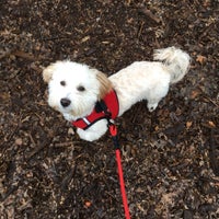 Photo taken at Riverside Park Dog Run by Blink2HappyDays on 4/13/2019