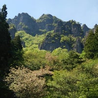 群馬県立森林公園 さくらの里 上小坂1258