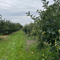 Photo taken at County Line Orchard by Alejandra E. on 10/8/2023