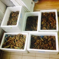Живые Раки Белгород Купить Цены