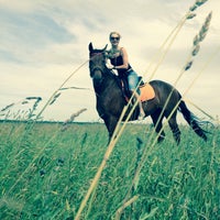 7/4/2015 tarihinde Vera🍓ziyaretçi tarafından КСК Western Horse'de çekilen fotoğraf