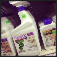 Green Arrow Nursery North Hills East 4 Tips From 160 Green Arrow Nursery North Hills East 4 Tips From 160
