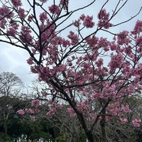 Photo taken at Ohori Park by Cd L. on 3/26/2024