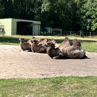 Photo taken at Tallinn Zoo by Margarita on 8/5/2022