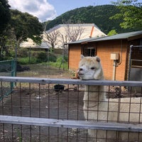 Photo taken at Izu Animal Kingdom by Yuya I. on 5/2/2023