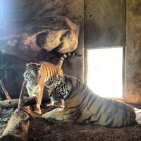 Photo taken at Abenteuerland Walter Zoo AG by Eduard M. on 8/10/2013