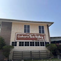 9/29/2023にHihihihipahがGaharu Tea Valley Gopengで撮った写真