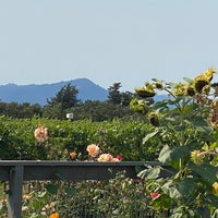 Photo taken at De Loach Winery &amp;amp; Vineyards by Patty L. on 8/7/2021