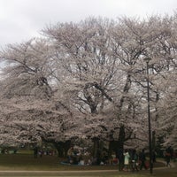 ikuna park ikuna park