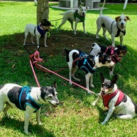 Photo taken at Dog Track Parque Chimali by Christopher d. on 8/17/2020