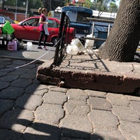 Foto tirada no(a) Mercado Nuevo San Lázaro (Peces Mascotas y Accesorios) por Christopher d. em 4/21/2018