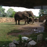 Photo taken at Elephants by Alice K. on 6/28/2013