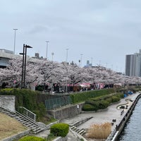 Photo taken at 桜橋 by B_ 8. on 4/6/2024