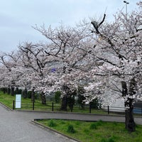 Photo taken at 桜橋 by B_ 8. on 4/6/2024