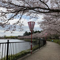 庄原上野池公園 Park