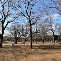Photo taken at Yoyogi Park Dogrun by Tai S. on 3/16/2024