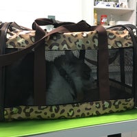 Das Foto wurde bei Union Hill Animal Hospital von Gracie L. am 7/14/2017 aufgenommen