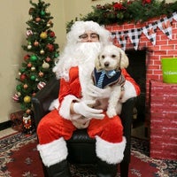 petsmart 101st memorial