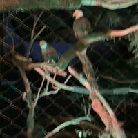 11/25/2022にMonica K.がPhoenix Zooで撮った写真