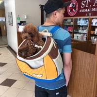 St Angel Animal Medical Center Veterinarian