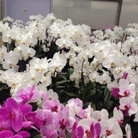 Photo taken at Woon Leng Orchid Nursery by Sunny B. on 1/19/2014