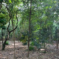 Photo taken at Parque da Água Branca by Gilsinei H. on 11/18/2023