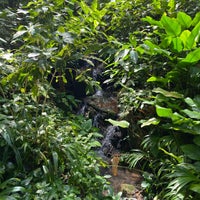 Foto diambil di Tropical Spice Garden oleh Mavis O. pada 12/29/2022