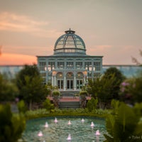 1/11/2016にLewis Ginter Botanical GardenがLewis Ginter Botanical Gardenで撮った写真
