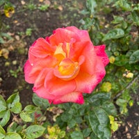 Photo taken at Rose Garden by Camryn S. on 8/25/2023